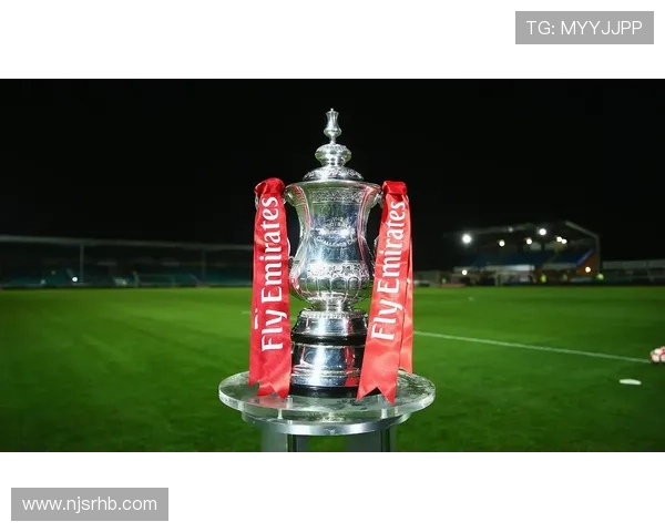 斯旺西城足球俱乐部百年发展历程与威尔士足球文化探索现代挑战之路